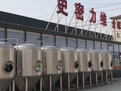 黔东南精酿啤酒设备厂—市场规模与跨界新需求